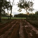 Limpieza para apertura de calles - Maxgarden