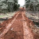 Desmonte en Coronel Oviedo - Maxgarden
