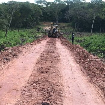 Desmonte para apertura de calles – Maxgarden Desmonte para apertura de calles - Maxgarden