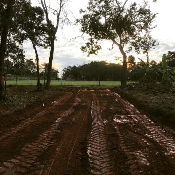 Limpieza para apertura de calles – Maxgarden Limpieza para apertura de calles - Maxgarden